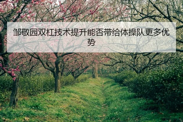 邹敬园双杠技术提升能否带给体操队更多优势 | PG